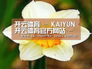 产品名称四