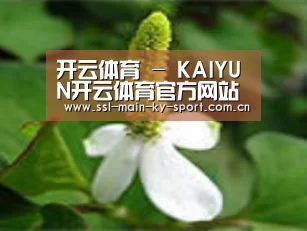产品名称三