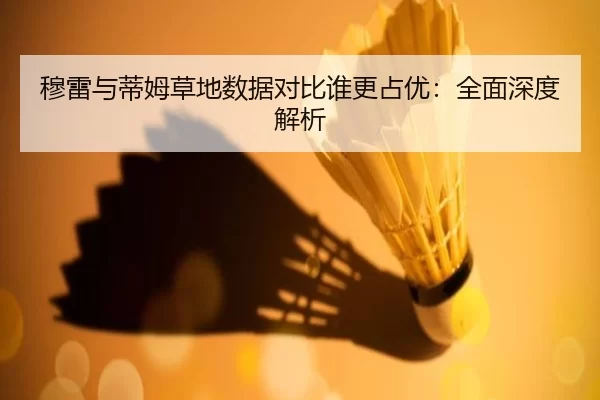 穆雷与蒂姆草地数据对比谁更占优：全面深度解析